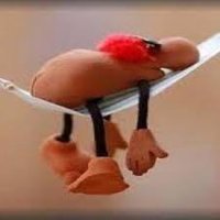 Profe extenuado (@enjarras) 's Twitter Profile Photo