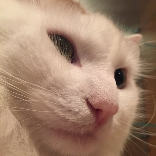 verbaux's profile picture. 