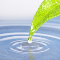 Svenskt Vatten Utveckling (@svutveckling) 's Twitter Profile