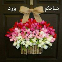 الحب المستحيل (@kuxoyz12grlcdou) Twitter profile photo