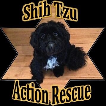 star_rescueuk Profile Picture