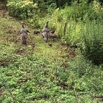 Dougefr28662958's profile picture. 🤷🏽‍♂️