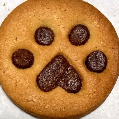 シーヴェルトさんのプロフィール画像