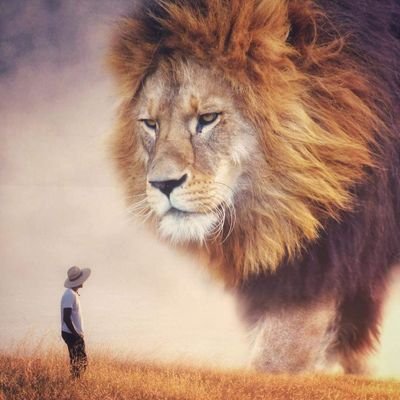 AlanJL6's profile picture. #ganjah