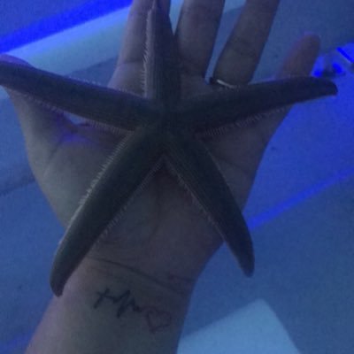 1g8Nora's profile picture. 