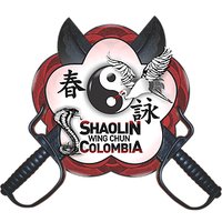 WING CHUN COLOMBIA (@wingchuncol) 's Twitter Profile