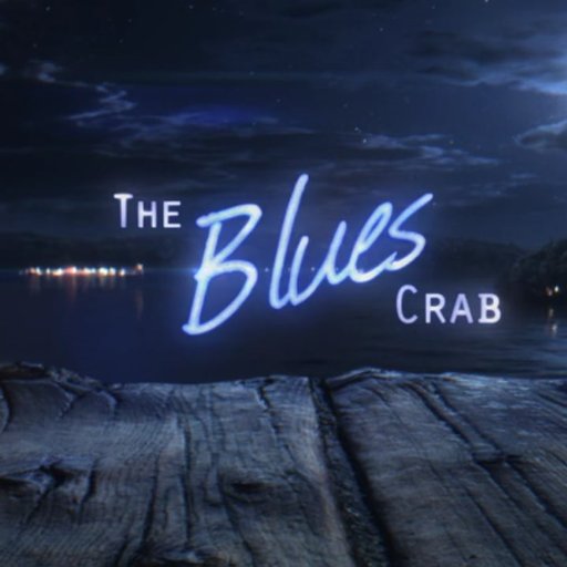 Award-winning animated short-film directed by Ari Rubenstein of @curvstudios with sound by @DustlessDigital - The Blues Crab