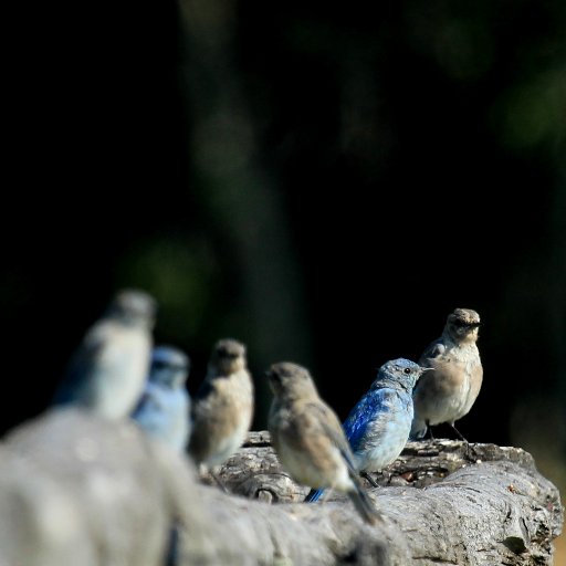 Love connecting with nature. @_BTO WeBS and WBBS recorder. 
Work account @ColetteYcla.