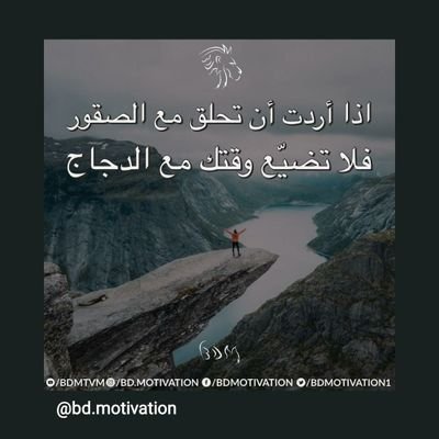 alialaony's profile picture. 