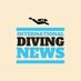 IDN (@intdivingnews) Twitter profile photo