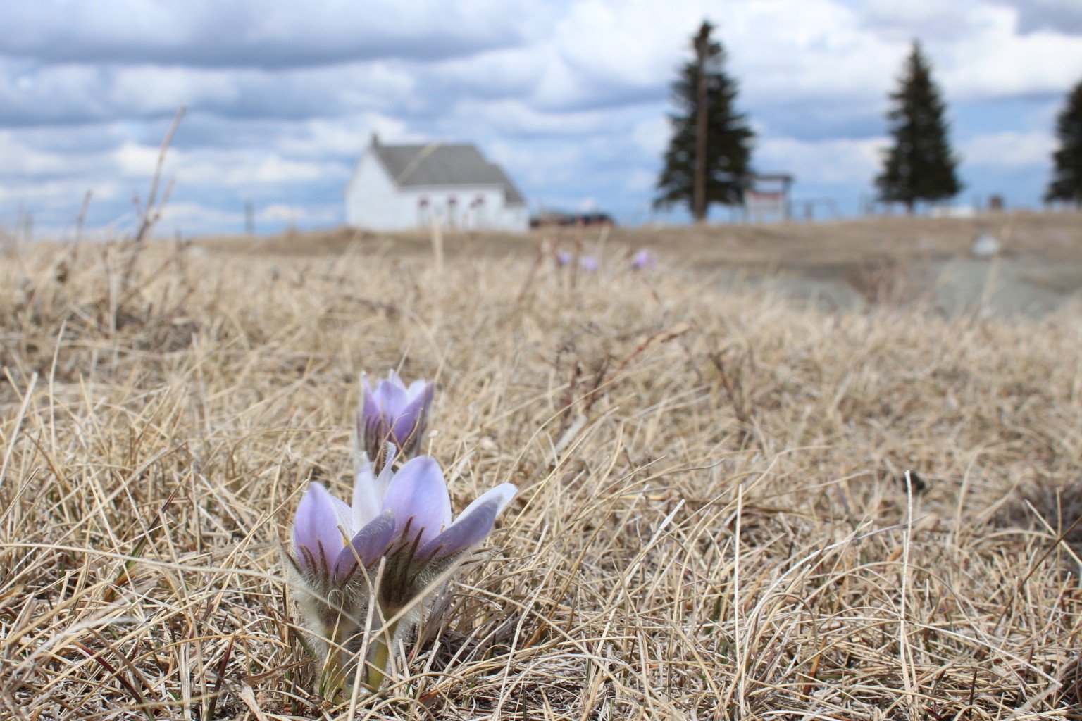 MunicipalityL's profile picture. 