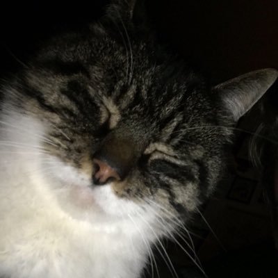 FlushJeZus's profile picture. lekker klikken