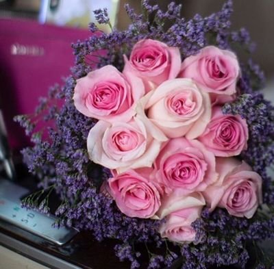 scui0's profile picture. .