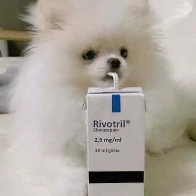 Carlos82cj's profile picture. Diversão Diversão Diversão