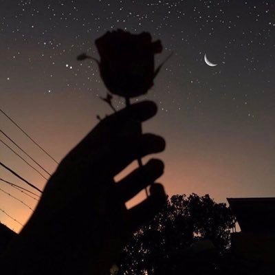 ‏﴿ سَيَجْعَلُ اللهُ بَعْدَ عُسْرٍ يُسْراً ﴾