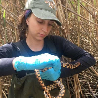 Lab manager for the Davy Lab @ CarletonU. MSc graduate. Research: reptile conservation and disease ecology. Big fan of #SciComm and being out in the field!