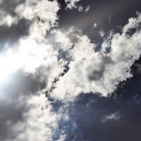 الامل (@hope19091) Twitter profile photo