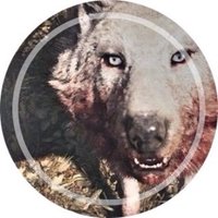 ᴀᴢᴜʀᴇ. (@howlingelegance) 's Twitter Profile