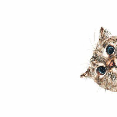 mrsSyedm's profile picture. Soccer Music Local Sports Movies Travel Comedy Food