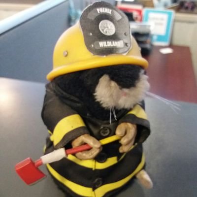 CONLOGORHINOX's profile picture. Just Do it!