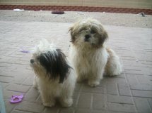 grace7474's profile picture. 