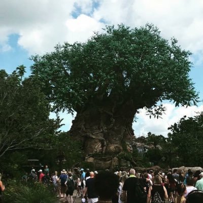 Family with twins sharing our Disney experiences. #rundisney #dvc #passholder https://t.co/cE7UdtsD3s https://t.co/mtO26qfkgv