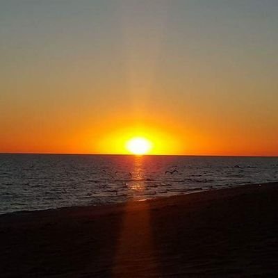 xiangxinzhiji3's profile picture. 