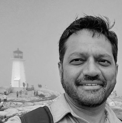 dipeshkmistry's profile picture. IT Program/ Project Management.