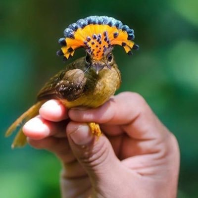 ZantLi_CCE's profile picture. 