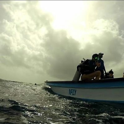 MicaelaReich's profile picture. Mamá de Mateo y de la Manada