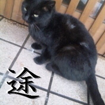 みちさんのプロフィール画像