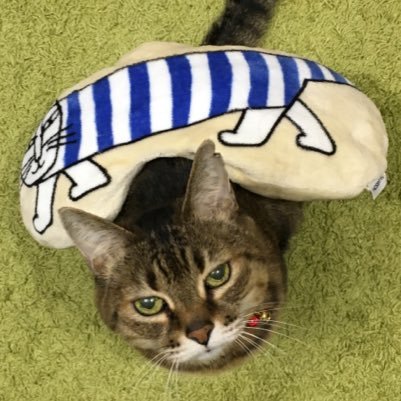 SoftBan03166442's profile picture. 投稿されている方々の素敵な作品やコメントを見ることで、元気を貰っています。ありがとうございます。CQL、天官賜福、サハン、山河令、そしてBFが好きです。成人済みです。