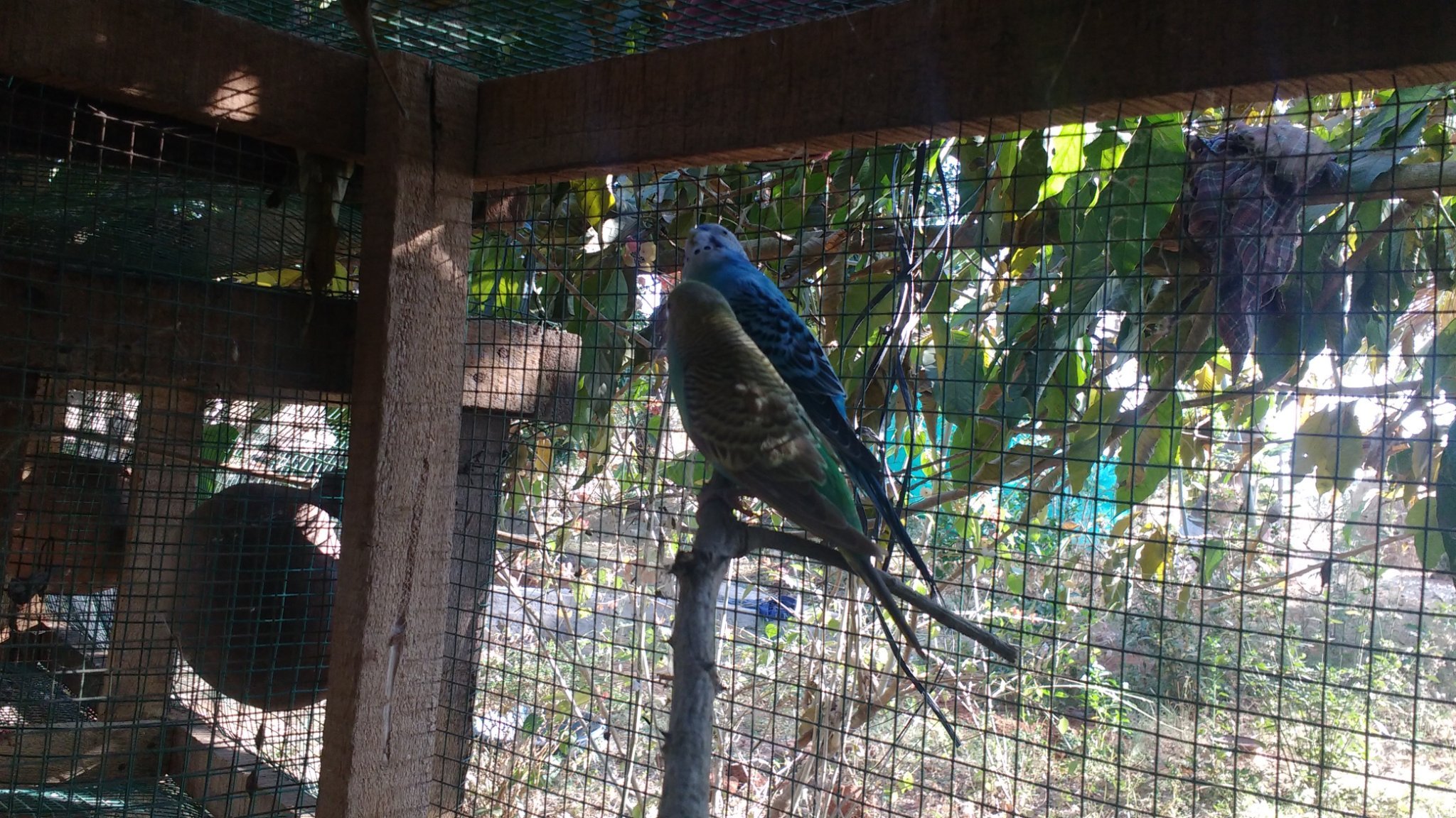 Adityakumarmys's profile picture. Bulding Bio-data