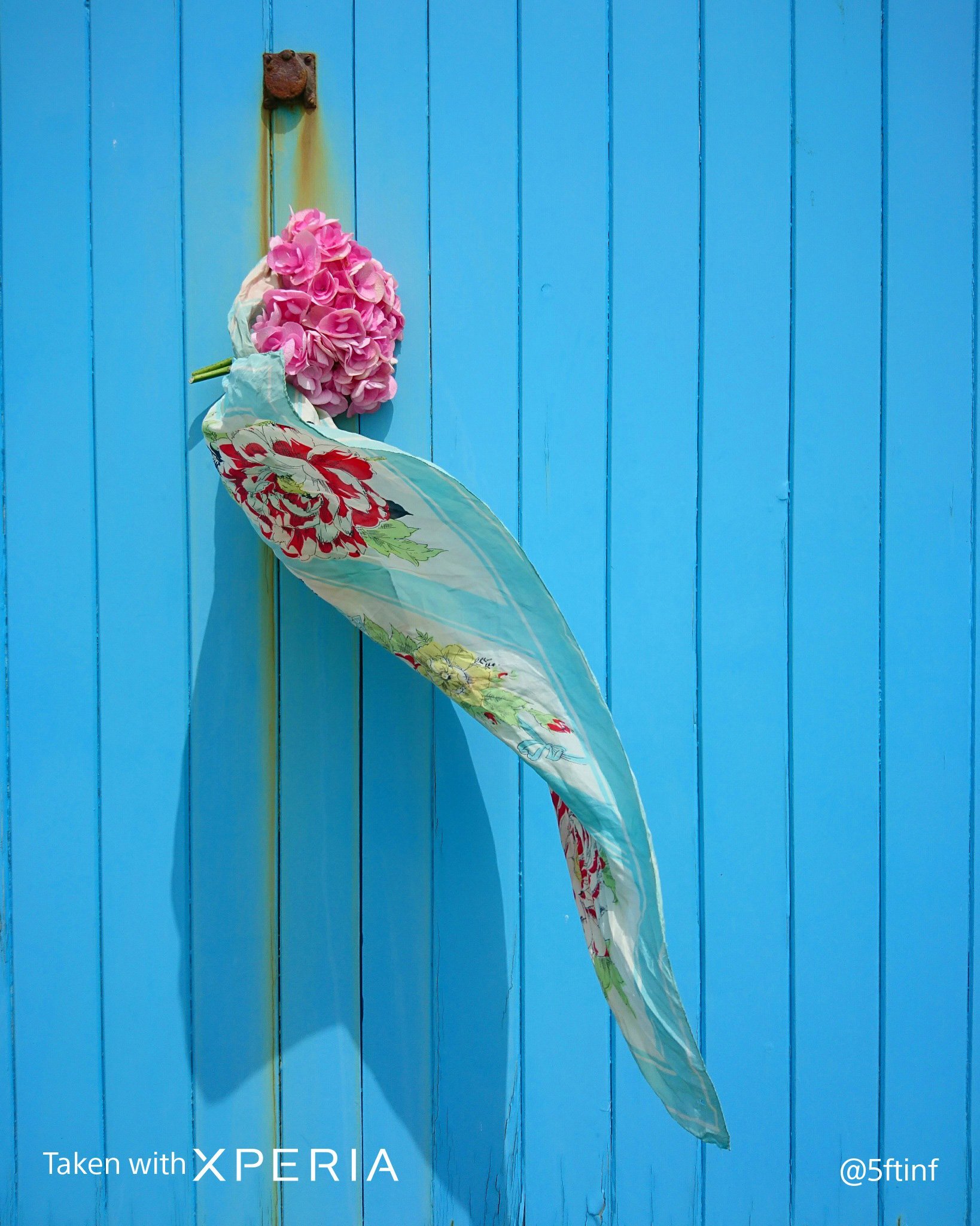 ksinKArSTv4DSDl's profile picture. 小学校と中学校兼任で学校司書やってます。
情報知りたくフォロー失礼いたします。
仲良くして下さい😊
★フォローありがとうございます✨
★小学生の子供が二人います✨