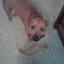 isabella bird - @nani11dgd - Twitter