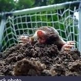 TGCCMole's profile picture. The latest gossip and inside news from the world of TGCC