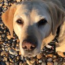 Melanie McAlpine - @MelMcAlps - Twitter