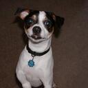 Russ rose - @Russrose8 - Twitter