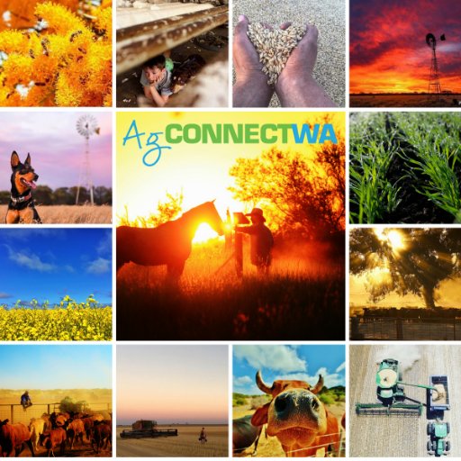 AgConnectWA's mission is to create connections between young people interested in agriculture and the future of food production in WA. We are #agconnectwa.