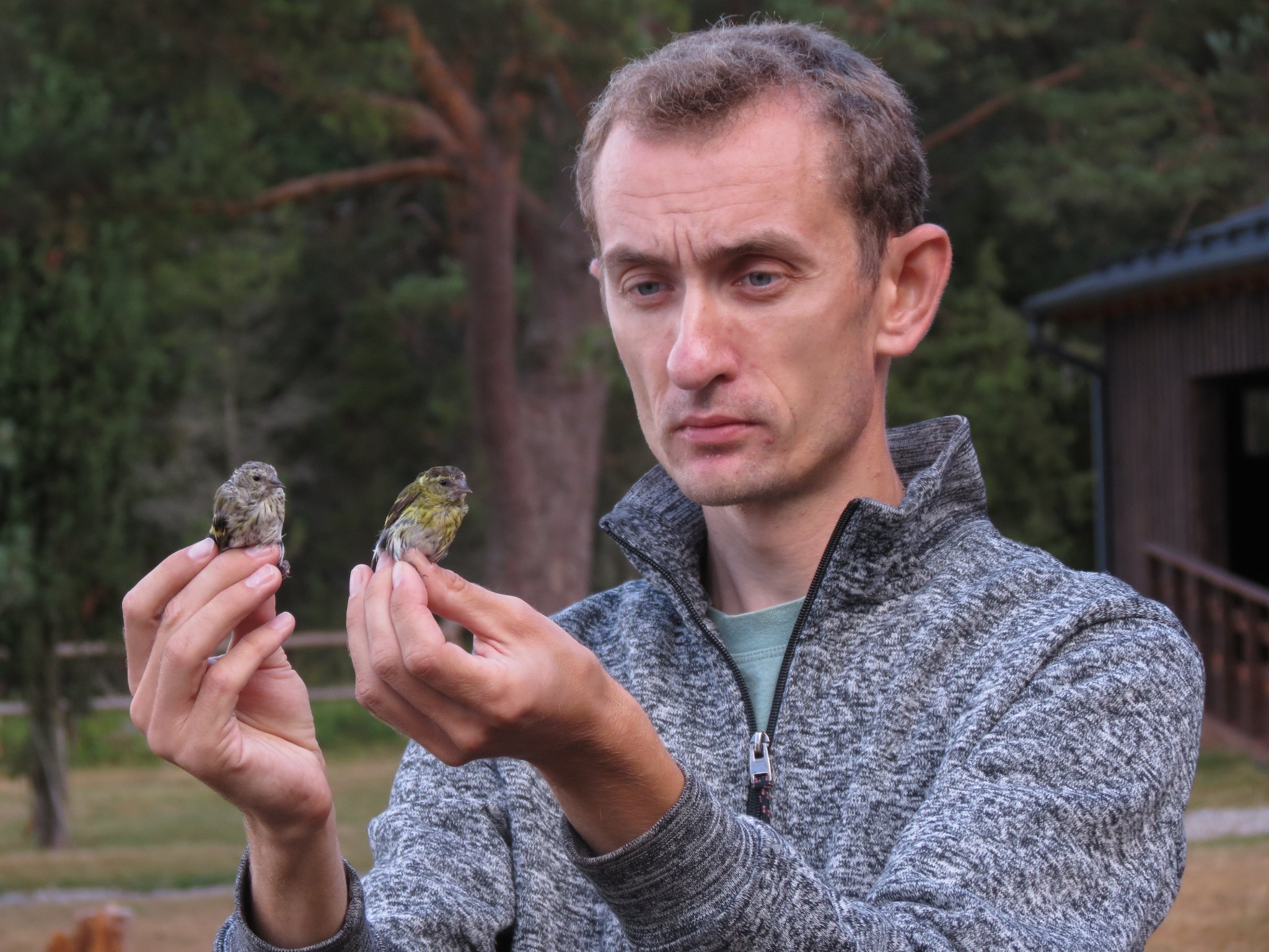 birder, ringer, writer, lecturer, nature conservationist, field ornithologist and wildlife guide from Estonia. Manager of the nature school. Author of 5 books.