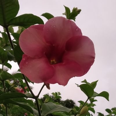 trimchen's profile picture. 