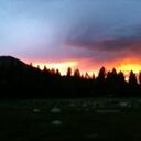 Connie Cope - @cccfbt69 - Twitter