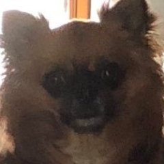 柿ピーさんのプロフィール画像