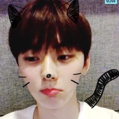 🙈 영원히 황민현 🙈/ 💫