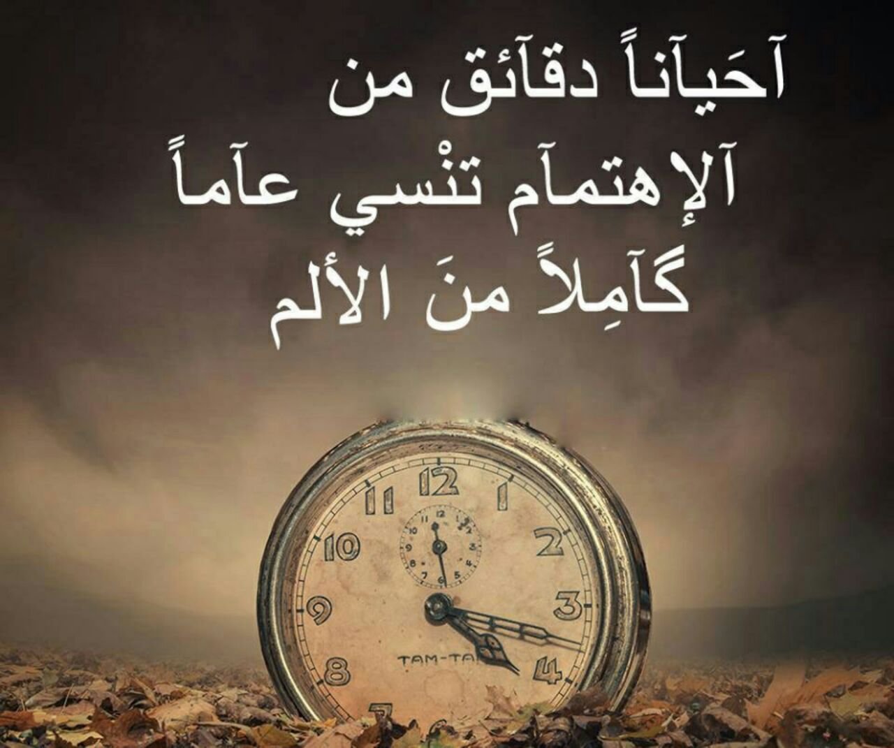 مرض الحبيب فزرته فمرضت من حذري عليه
❤️
فأتى الحبيب وزارني
فبرئت من نظري إليه