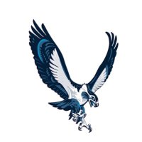 FFMS Athletics (@athleticsffms) 's Twitter Profile