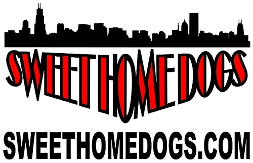 We're the BEST hot dog cart in the West Valley, located at 9501 W. Peoria Peoria, AZ. Tues.-Sat. 10-4