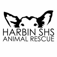 slaughterhouse_survivors (@harbinshs) 's Twitter Profile Photo slaughterhouse_survivors (@harbinshs) 's Twitter Profile Photo