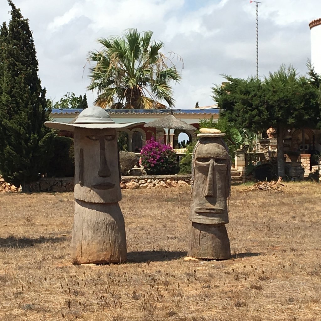 Asanche17's profile picture. 