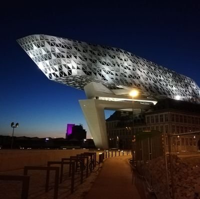 ciarpa's profile picture. 